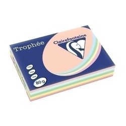 PAPEL COLOR A4 TROPHEE 80g...