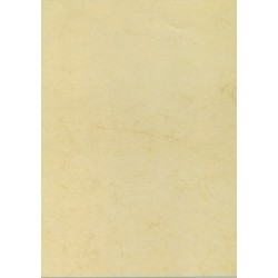PAPEL HABANA A4 APLI  90g 100h